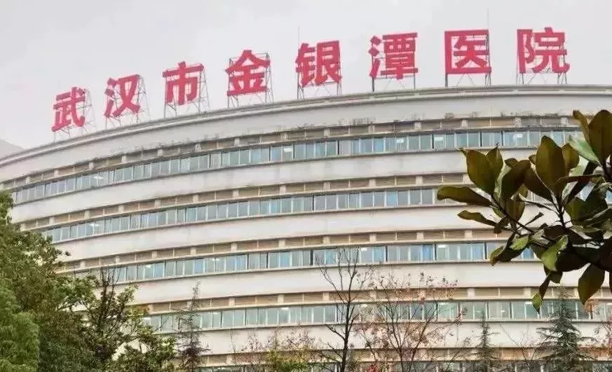 金银潭医院